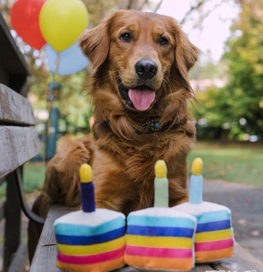 犬用おもちゃ ホールケーキ