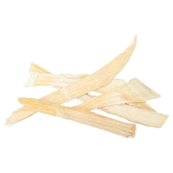 犬用おやつ サメヒレ50g