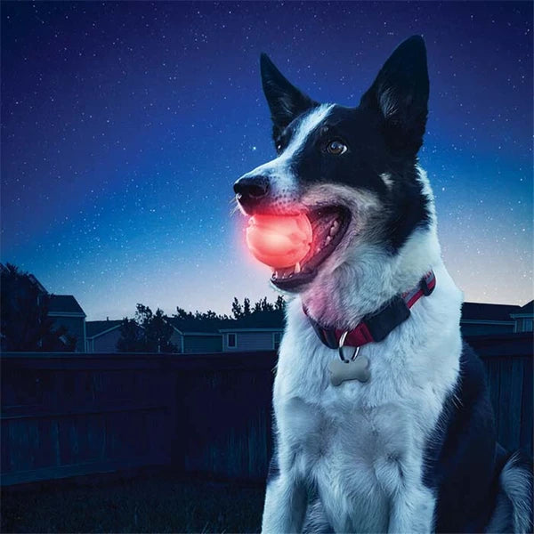 犬用おもちゃ LEDボール