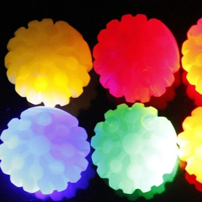 犬用おもちゃ LEDボール