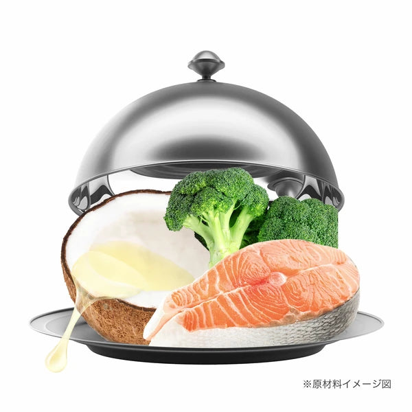 犬用おやつ サーモン+ブロッコリー&ココナッツ50g