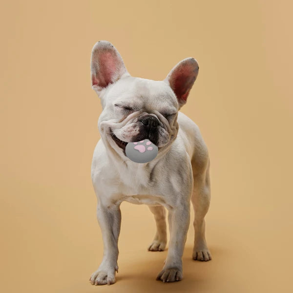 犬用おもちゃ パウクッキーグレー