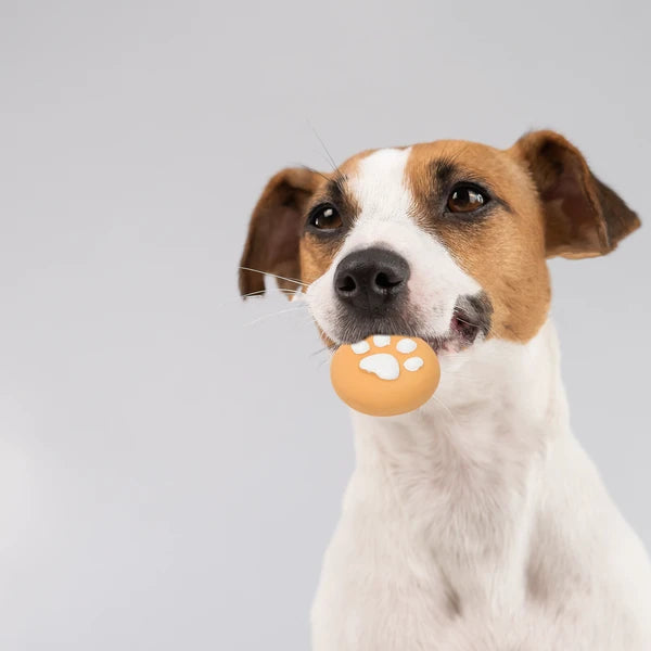犬用おもちゃ パウクッキーオレンジ